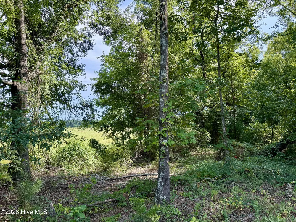 9153 Highway 28 South S Plum Branch, SC 29845