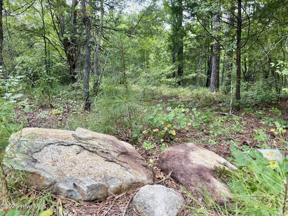9153 Highway 28 South S Plum Branch, SC 29845