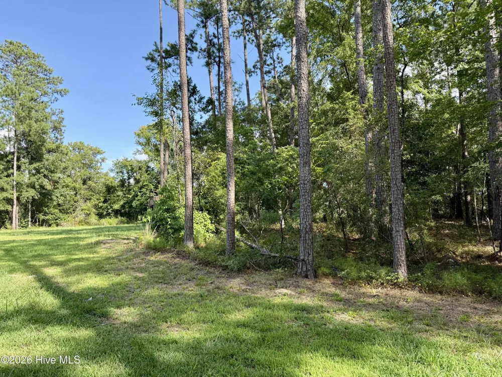 9153 Highway 28 South S Plum Branch, SC 29845