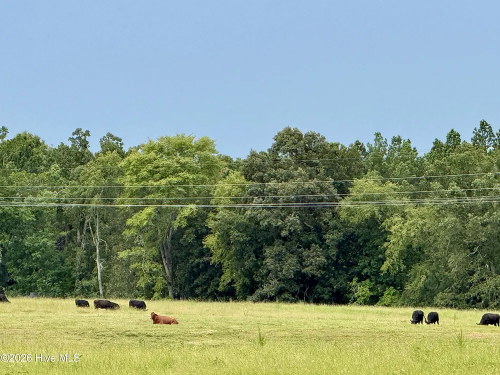9153 Highway 28 South S Plum Branch, SC 29845