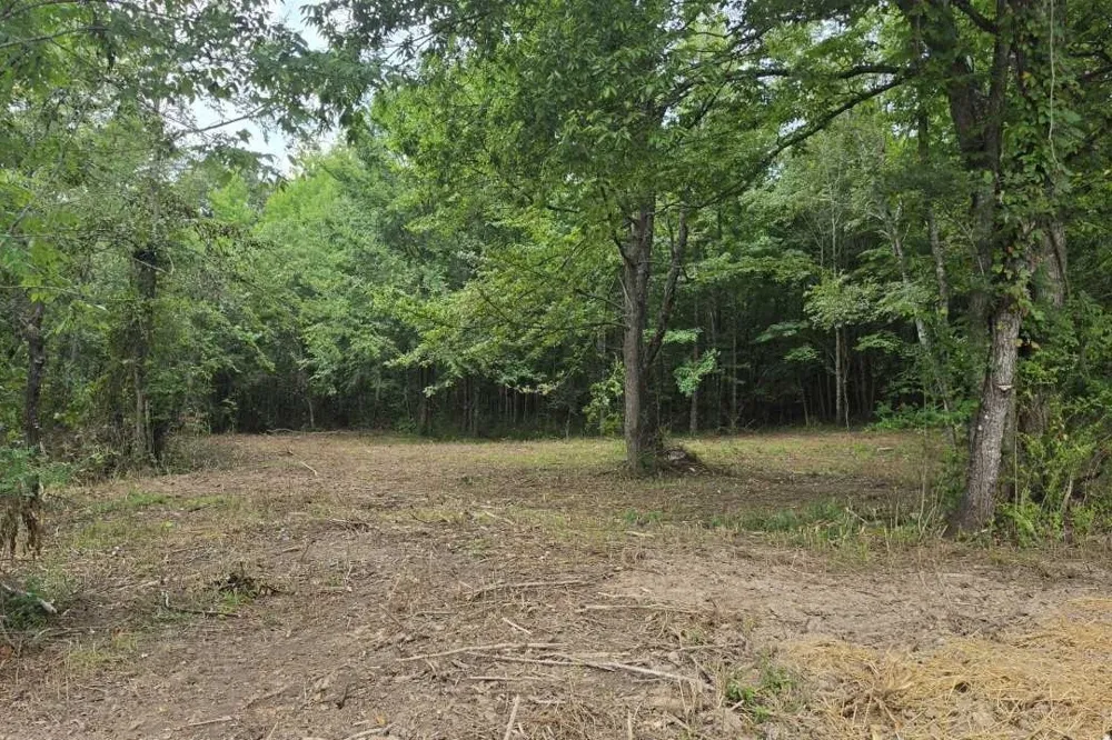 0 Dukes Park Rd Summertown, TN 38483