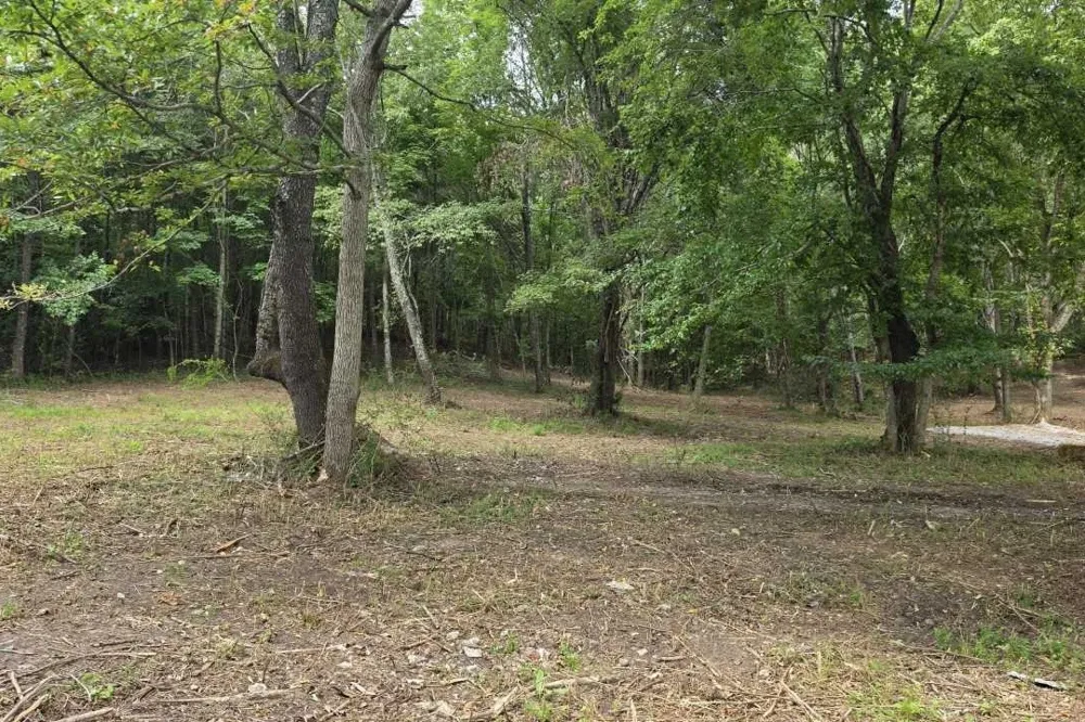 0 Dukes Park Rd Summertown, TN 38483