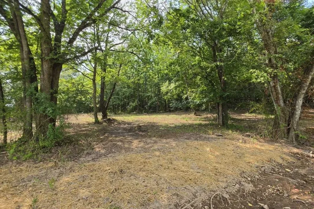 0 Dukes Park Rd Summertown, TN 38483