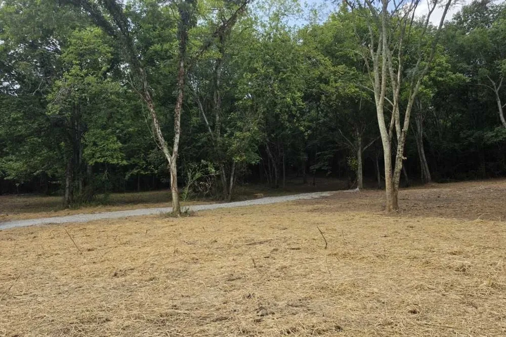 0 Dukes Park Rd Summertown, TN 38483