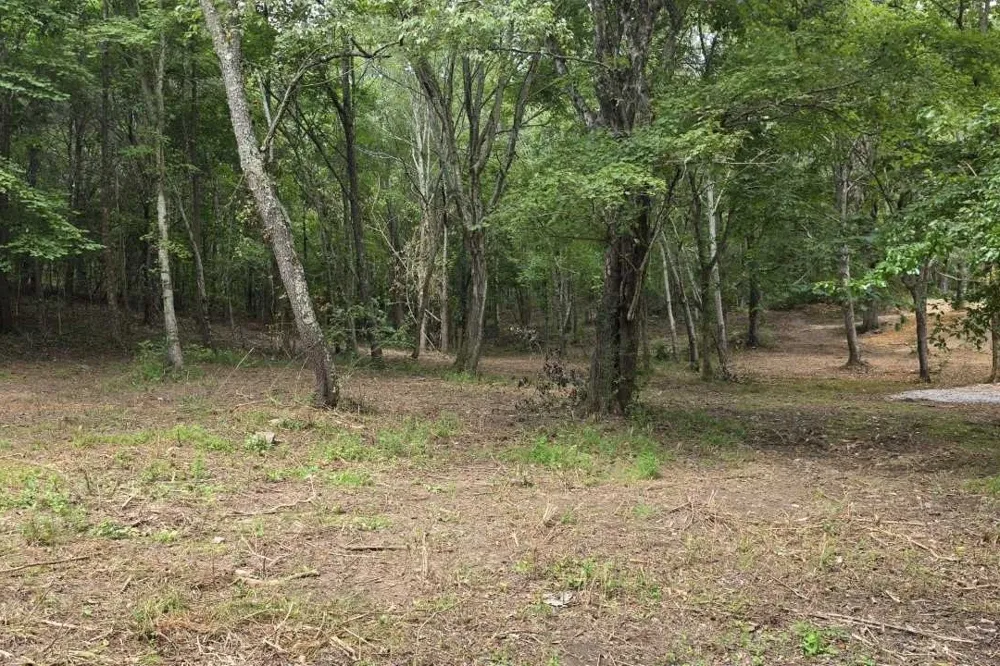 0 Dukes Park Rd Summertown, TN 38483