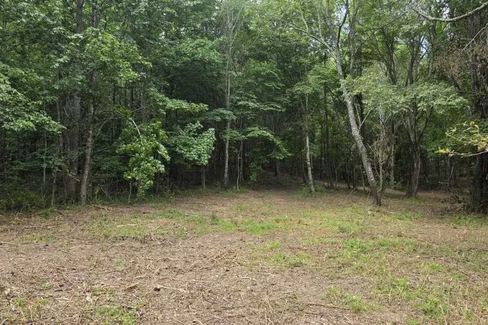 0 Dukes Park Rd Summertown, TN 38483