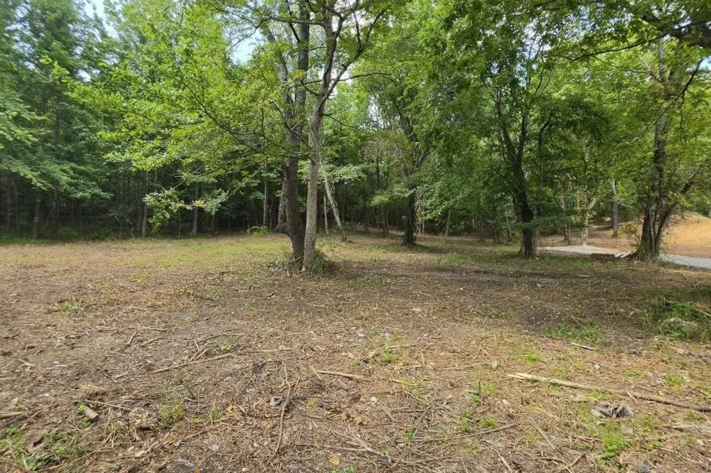 0 Dukes Park Rd Summertown, TN 38483