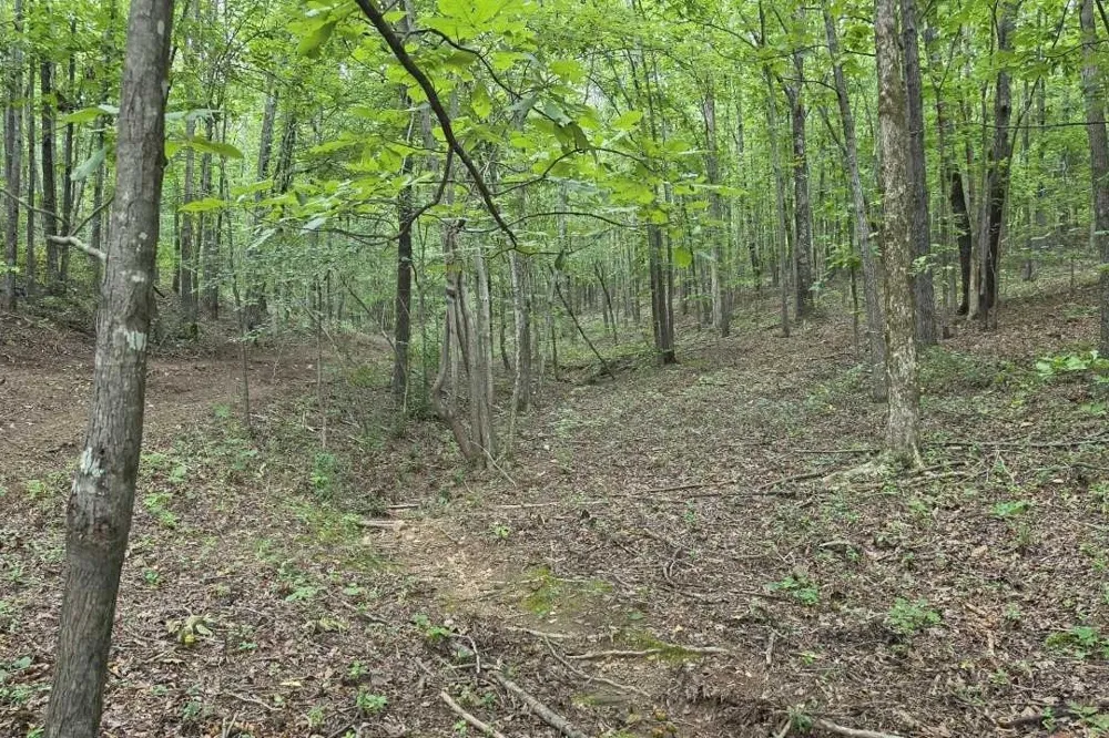 0 Dukes Park Rd Summertown, TN 38483