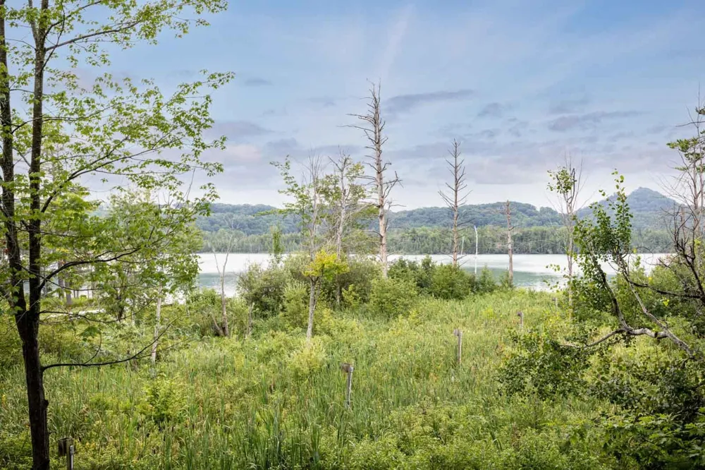 1164 E Traverse Lake Road Cleveland Township, MI 49621