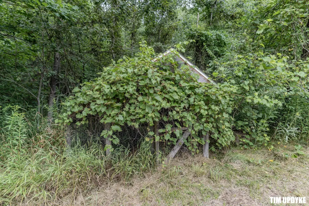 5924 E Sternberg Road Fruitport, MI 49415