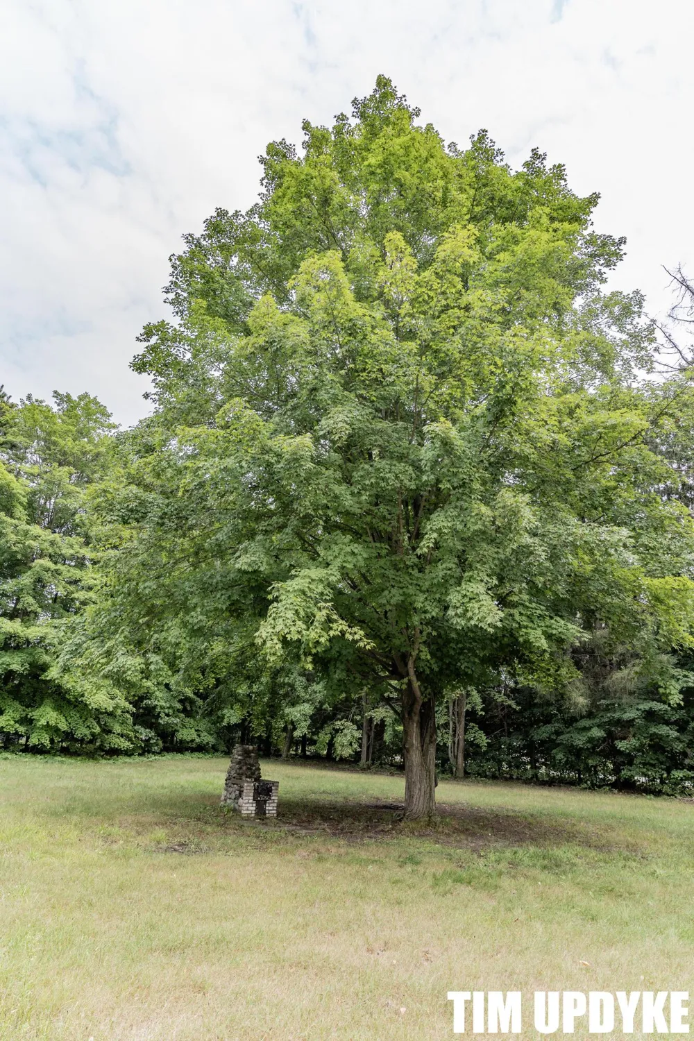 5924 E Sternberg Road Fruitport, MI 49415