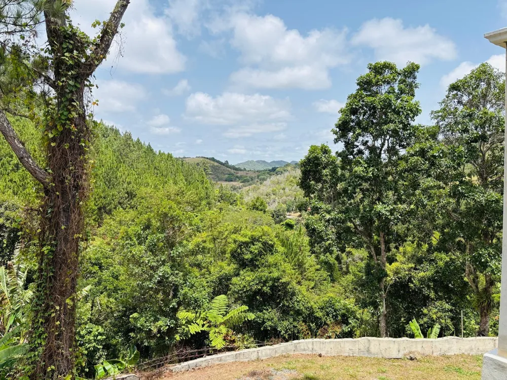 CARR 1 RUTA 715KM 3.5 LOTE 3 Cayey, PR 00736