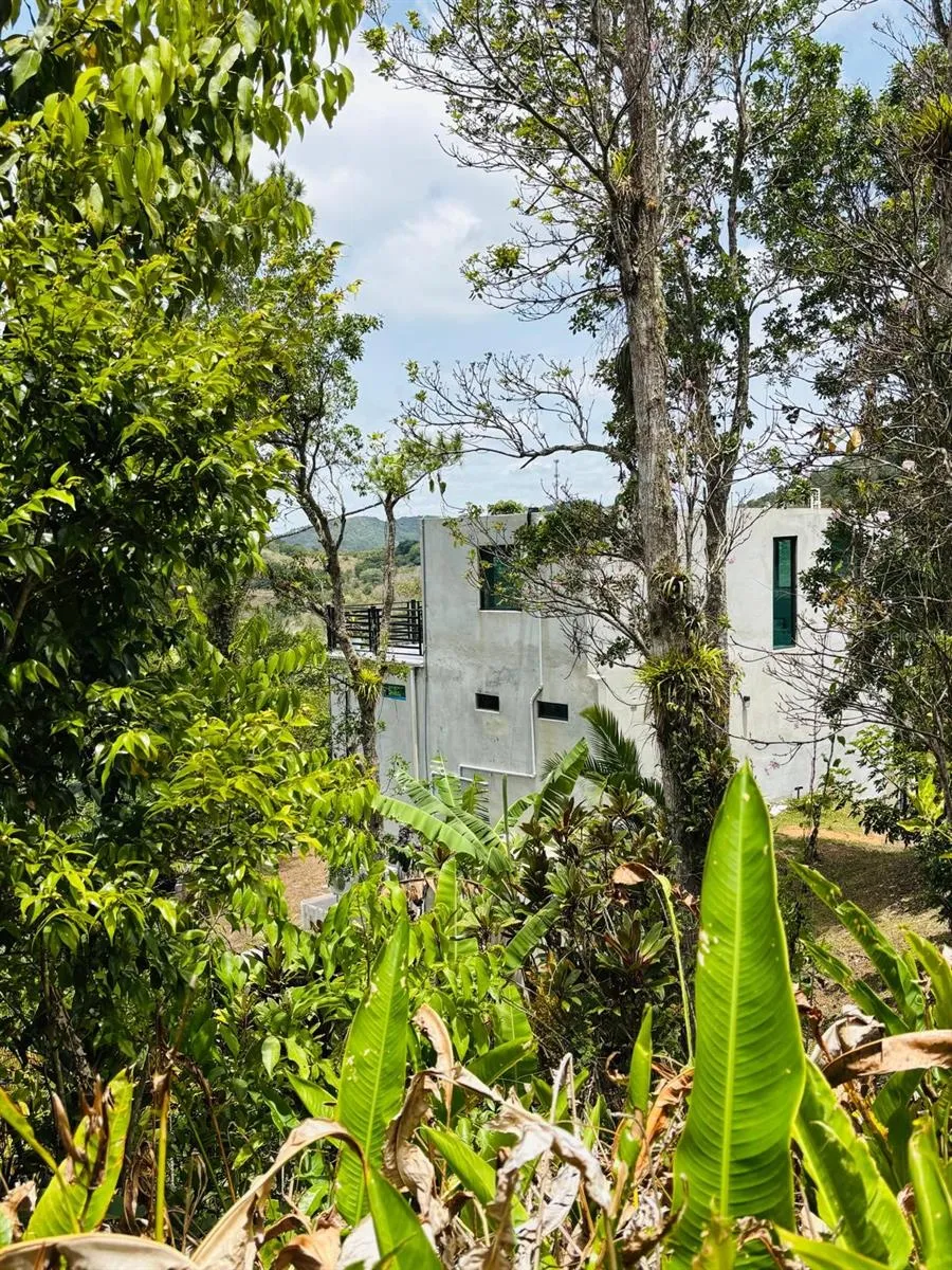 CARR 1 RUTA 715KM 3.5 LOTE 3 Cayey, PR 00736
