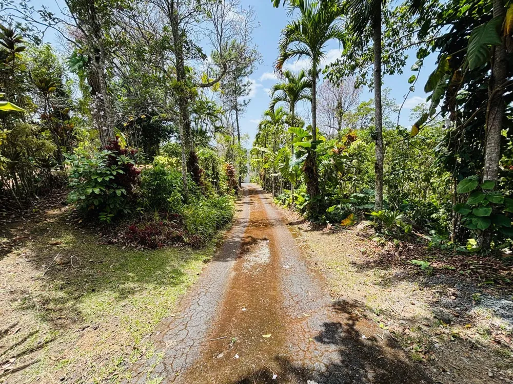 CARR 1 RUTA 715KM 3.5 LOTE 3 Cayey, PR 00736