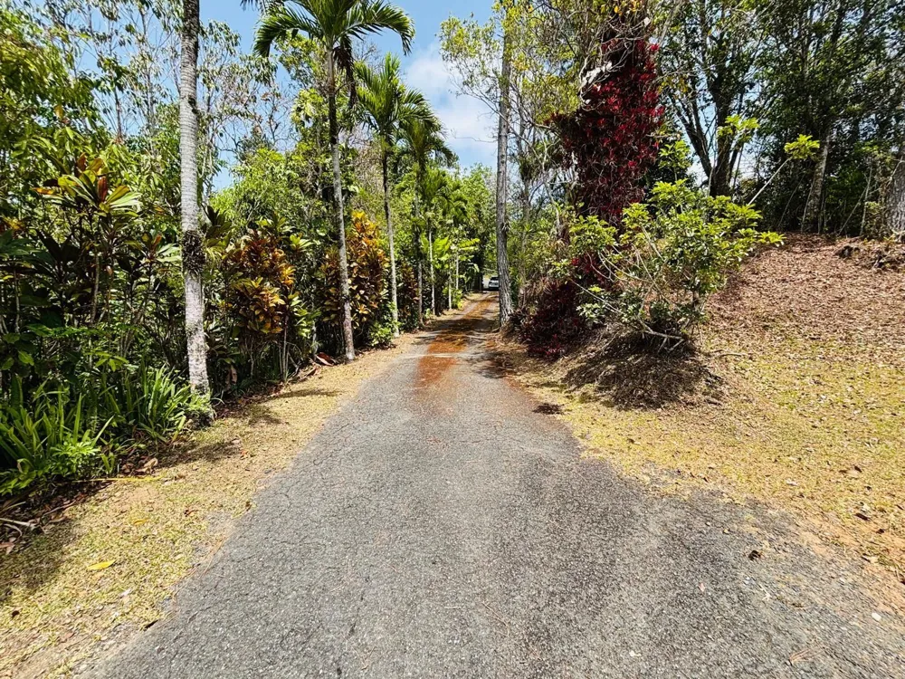 CARR 1 RUTA 715KM 3.5 LOTE 3 Cayey, PR 00736