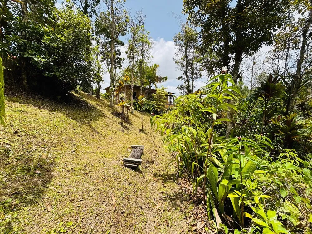 CARR 1 RUTA 715KM 3.5 LOTE 3 Cayey, PR 00736