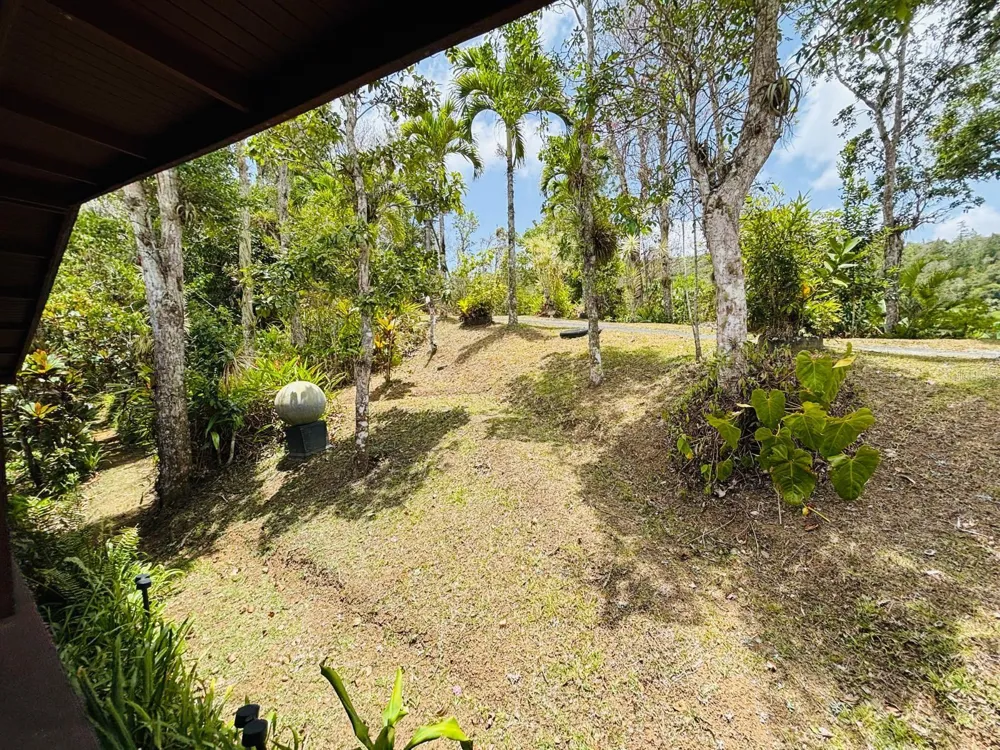 CARR 1 RUTA 715KM 3.5 LOTE 3 Cayey, PR 00736