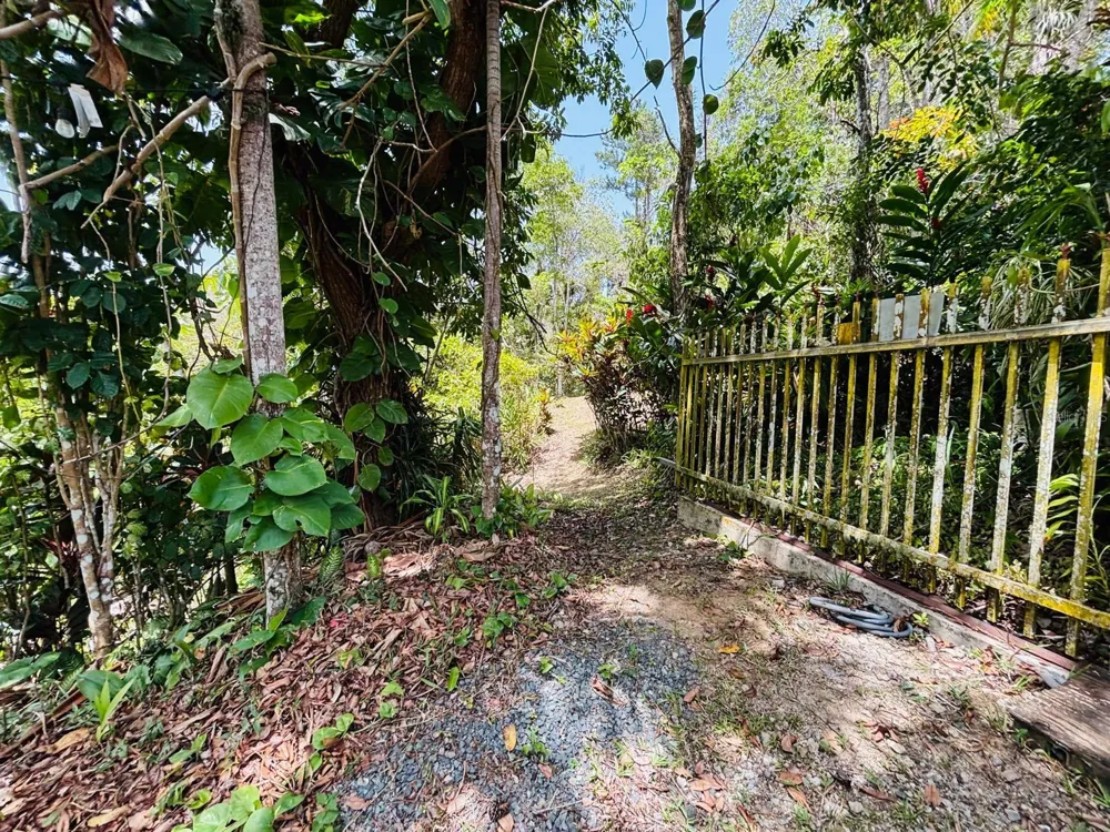 CARR 1 RUTA 715KM 3.5 LOTE 3 Cayey, PR 00736