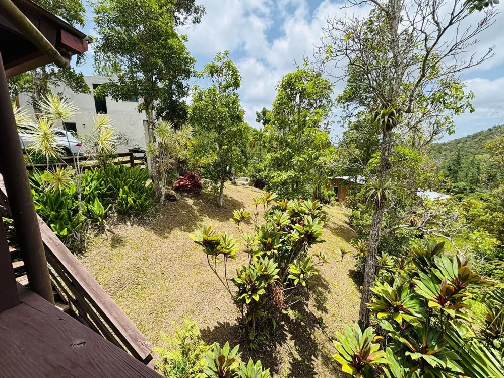 CARR 1 RUTA 715KM 3.5 LOTE 3 Cayey, PR 00736