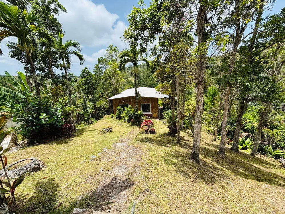 CARR 1 RUTA 715KM 3.5 LOTE 3 Cayey, PR 00736