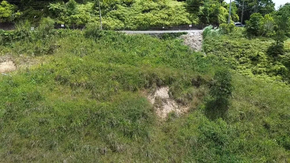 PR 785 KM 5.0 Aguas Buenas, PR 00703