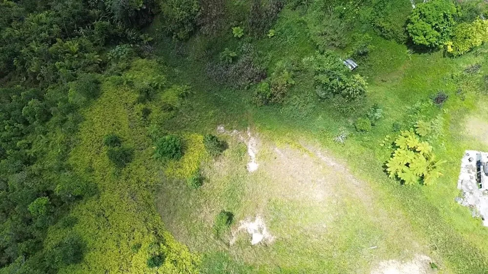 PR 785 KM 5.0 Aguas Buenas, PR 00703