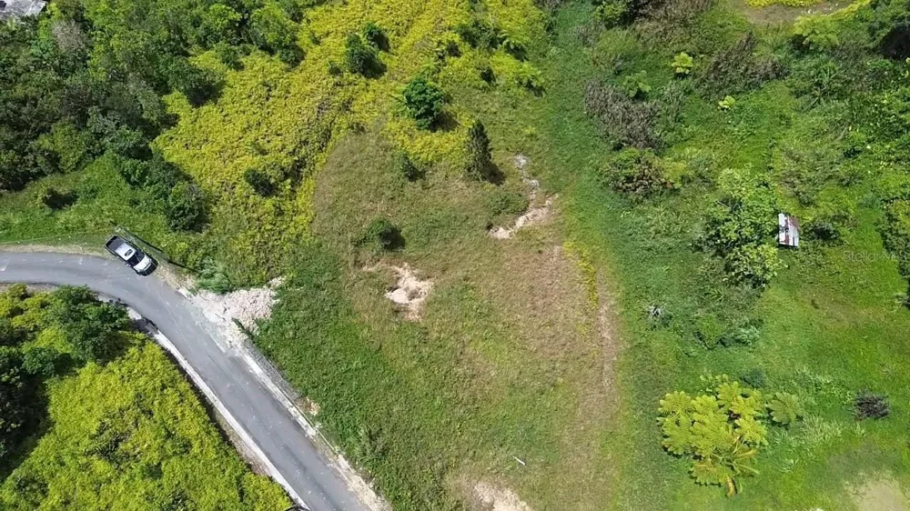 PR 785 KM 5.0 Aguas Buenas, PR 00703