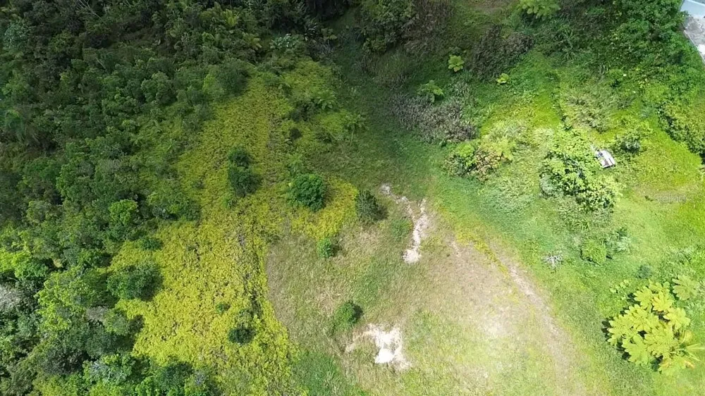 PR 785 KM 5.0 Aguas Buenas, PR 00703