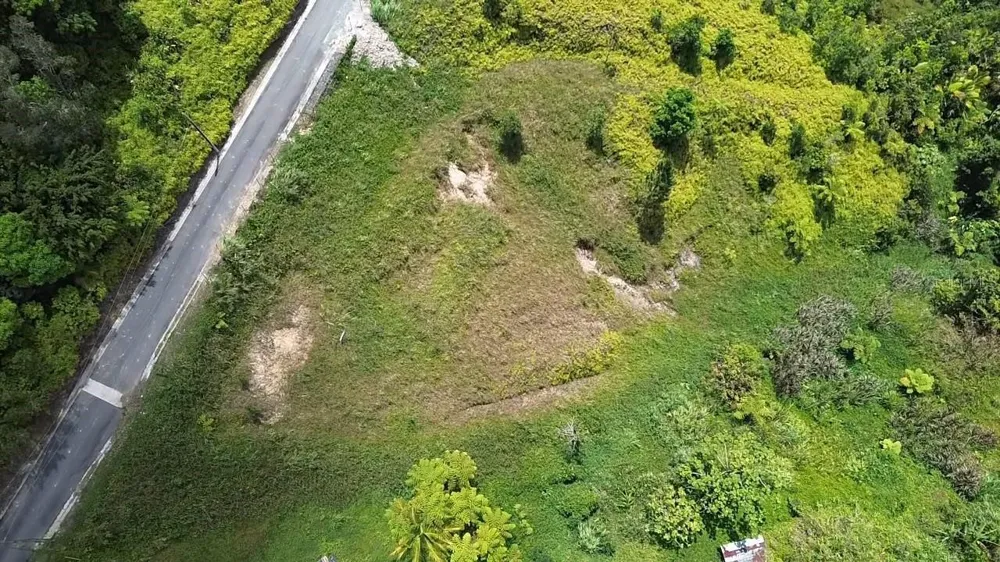 PR 785 KM 5.0 Aguas Buenas, PR 00703