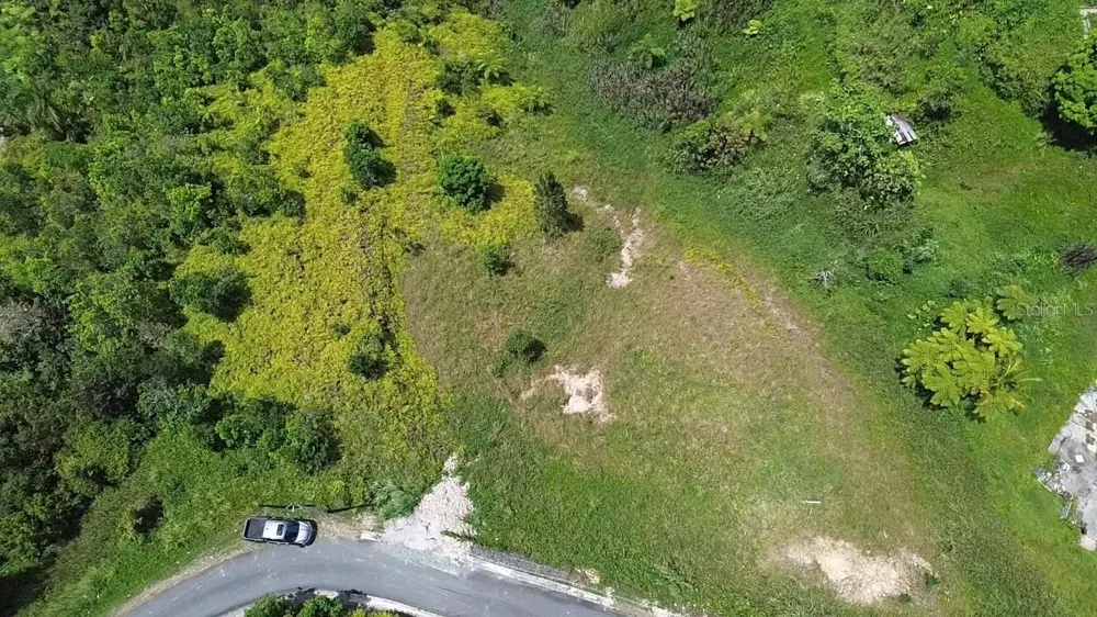 PR 785 KM 5.0 Aguas Buenas, PR 00703