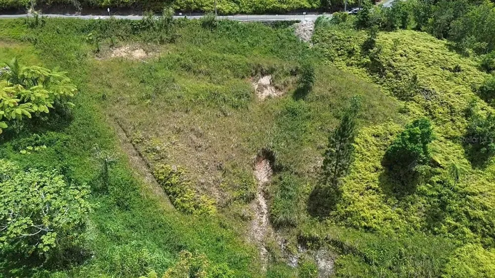 PR 785 KM 5.0 Aguas Buenas, PR 00703