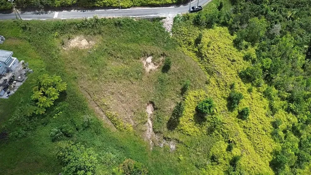 PR 785 KM 5.0 Aguas Buenas, PR 00703