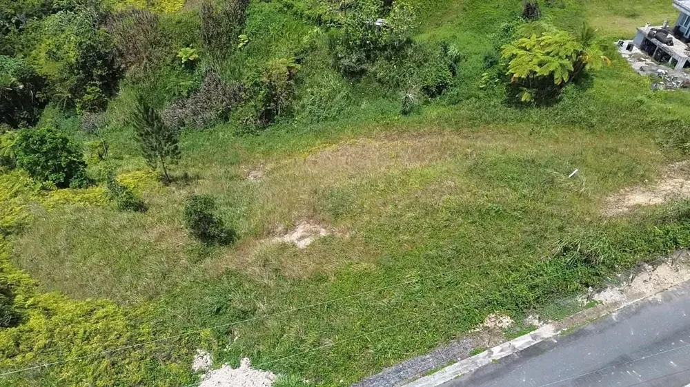 PR 785 KM 5.0 Aguas Buenas, PR 00703
