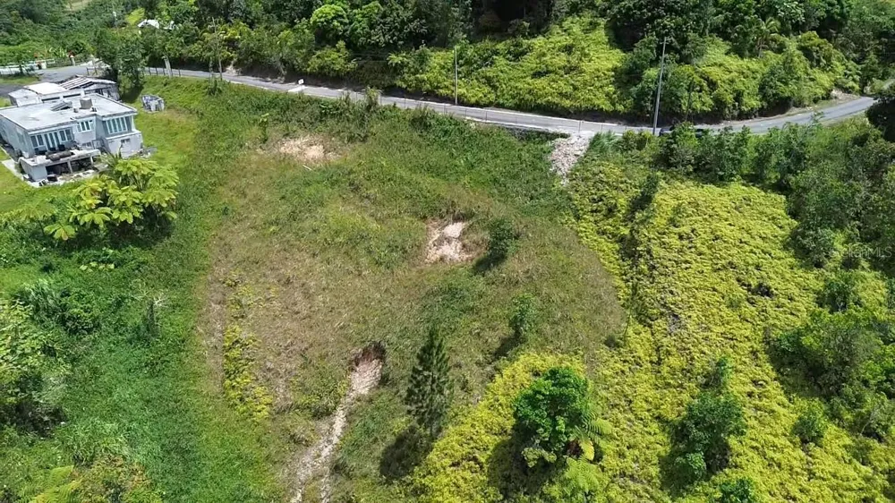PR 785 KM 5.0 Aguas Buenas, PR 00703