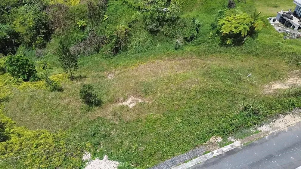 PR 785 KM 5.0 Aguas Buenas, PR 00703