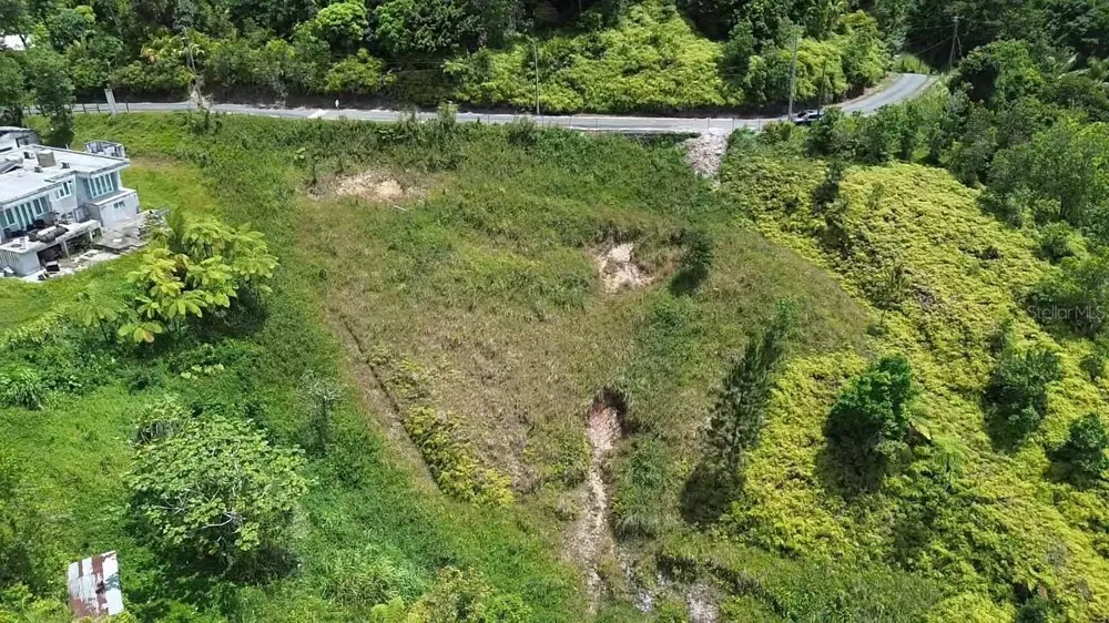 PR 785 KM 5.0 Aguas Buenas, PR 00703