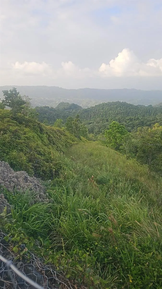 PR 785 KM 5.0 Aguas Buenas, PR 00703