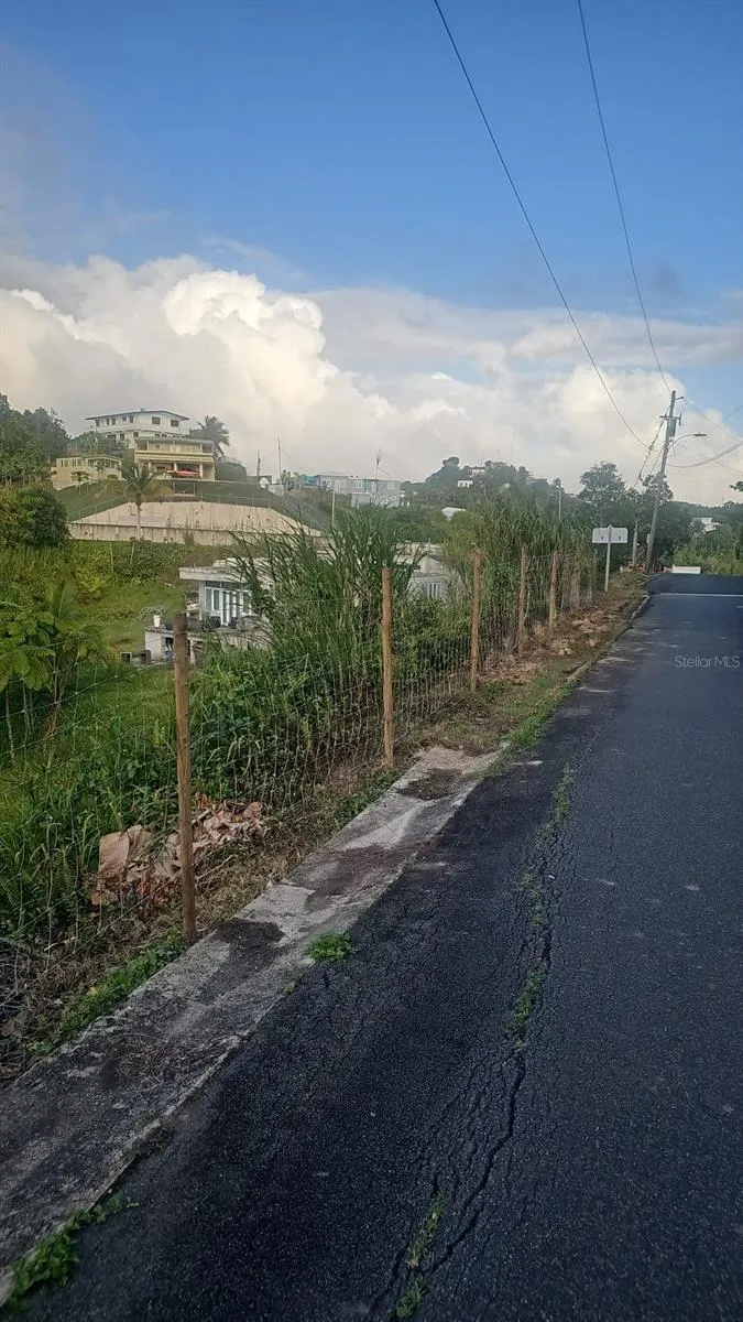 PR 785 KM 5.0 Aguas Buenas, PR 00703
