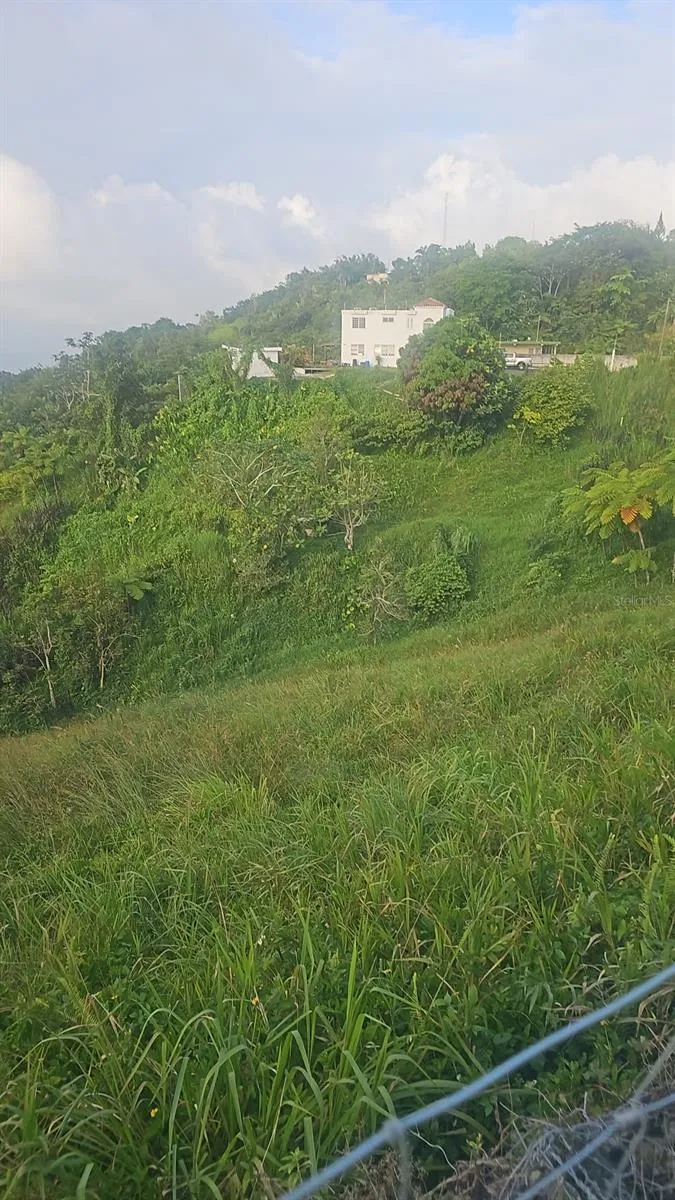 PR 785 KM 5.0 Aguas Buenas, PR 00703