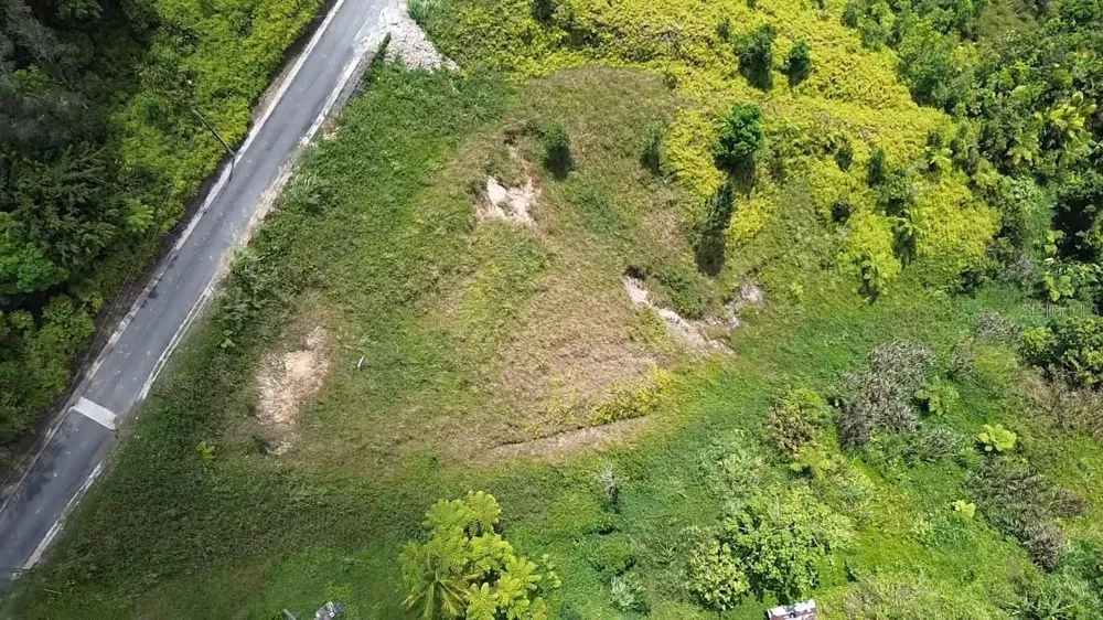 PR 785 KM 5.0 Aguas Buenas, PR 00703