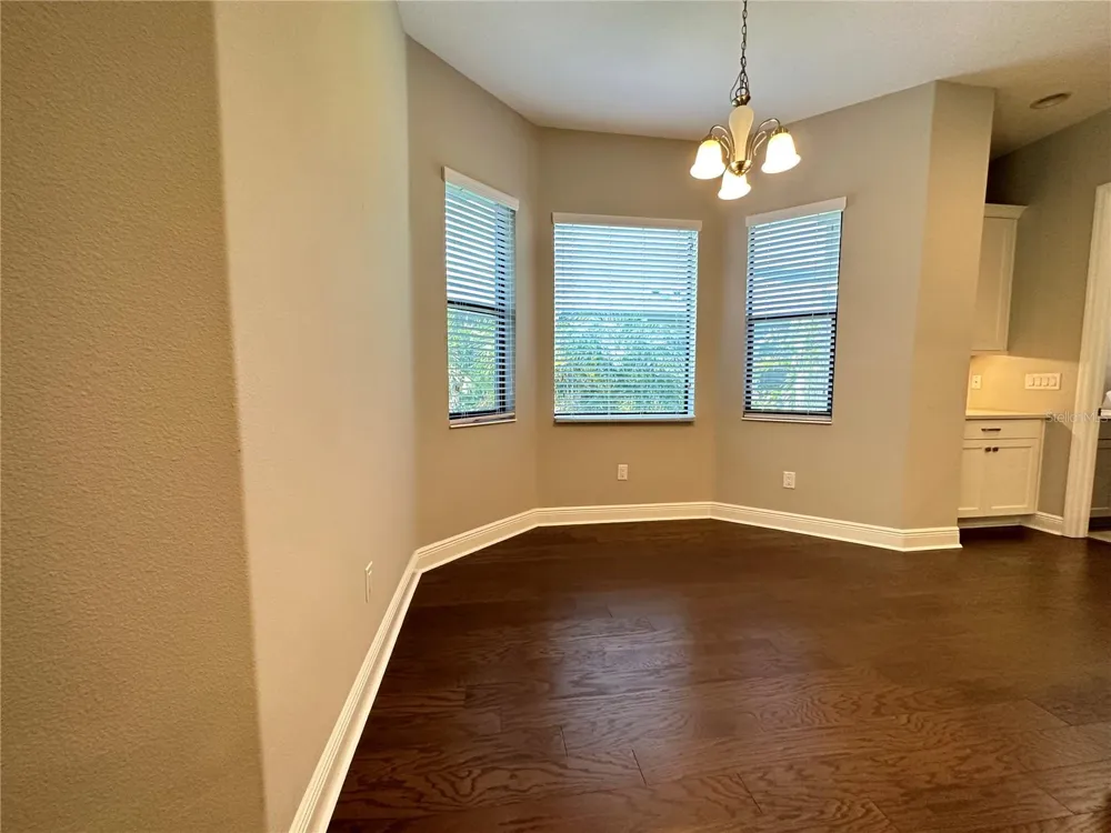 981 BEE BRANCH COURT Palm Harbor, FL 34683