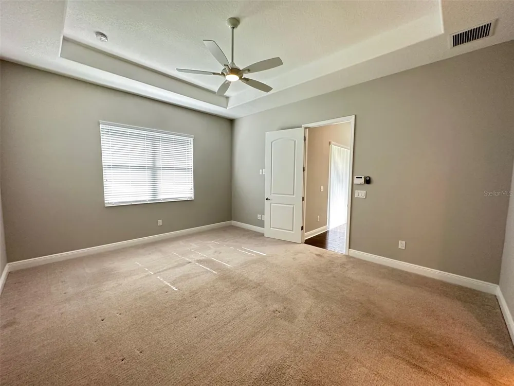 981 BEE BRANCH COURT Palm Harbor, FL 34683