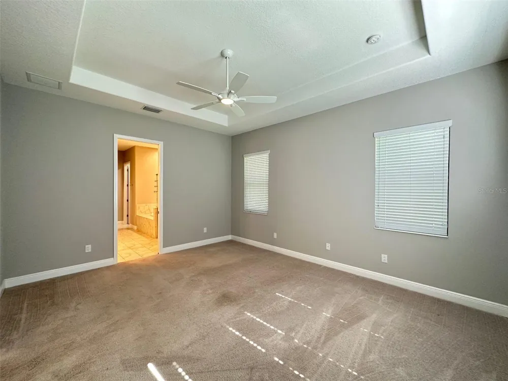 981 BEE BRANCH COURT Palm Harbor, FL 34683