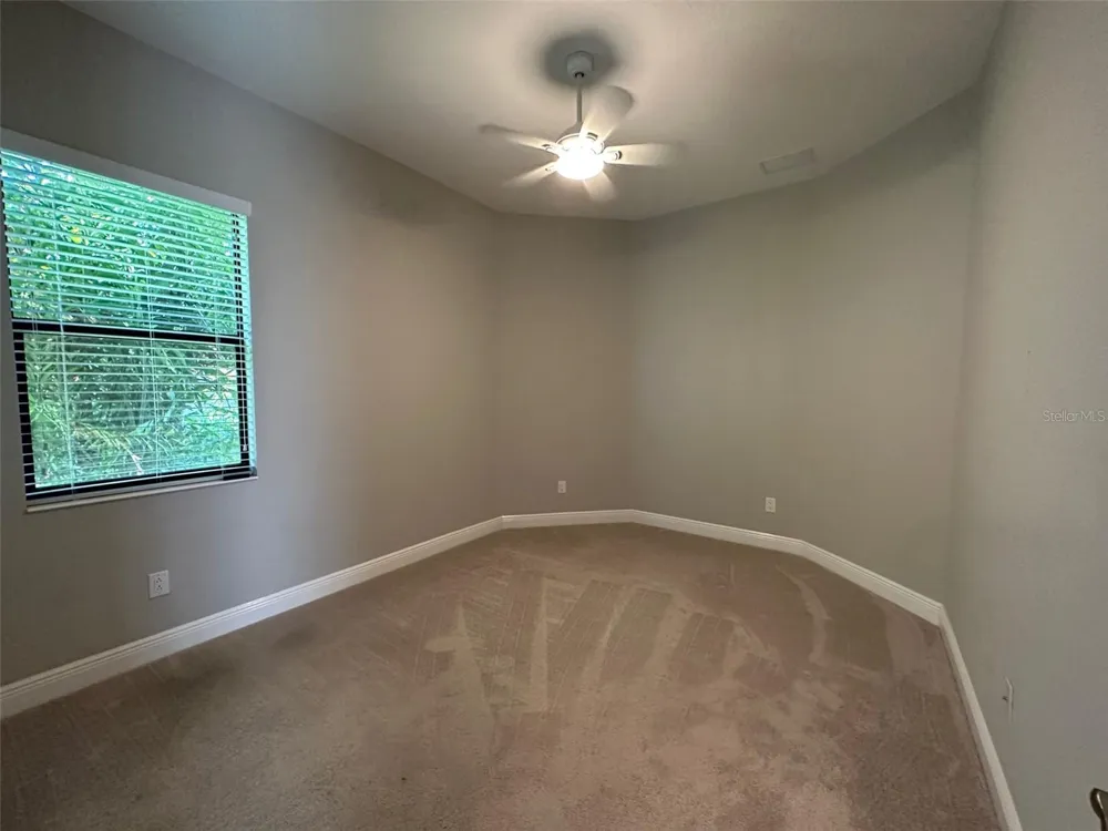 981 BEE BRANCH COURT Palm Harbor, FL 34683