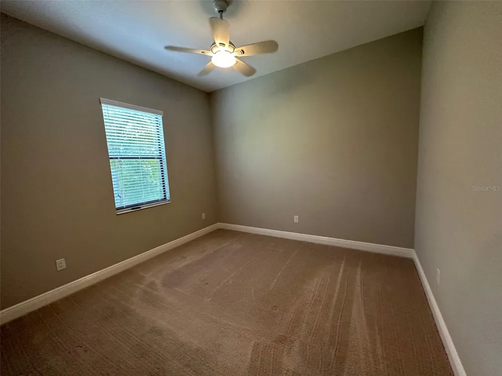 981 BEE BRANCH COURT Palm Harbor, FL 34683