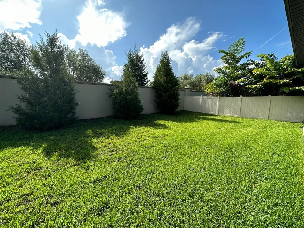 981 BEE BRANCH COURT Palm Harbor, FL 34683