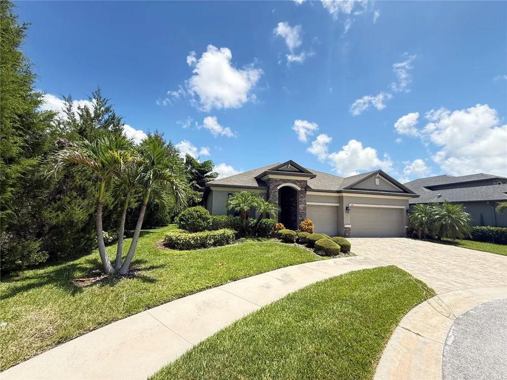 981 BEE BRANCH COURT Palm Harbor, FL 34683