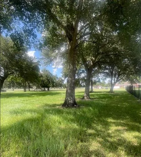 3747 Country Road 962 Alvin, TX 77511