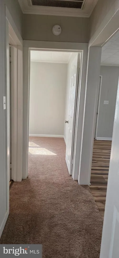 429 CAMPER STREET Cambridge, MD 21613