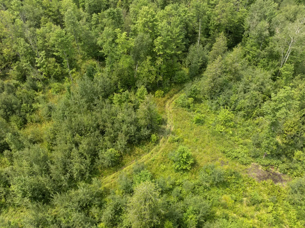 S Thompsonville Highway Thompsonville, MI 49683